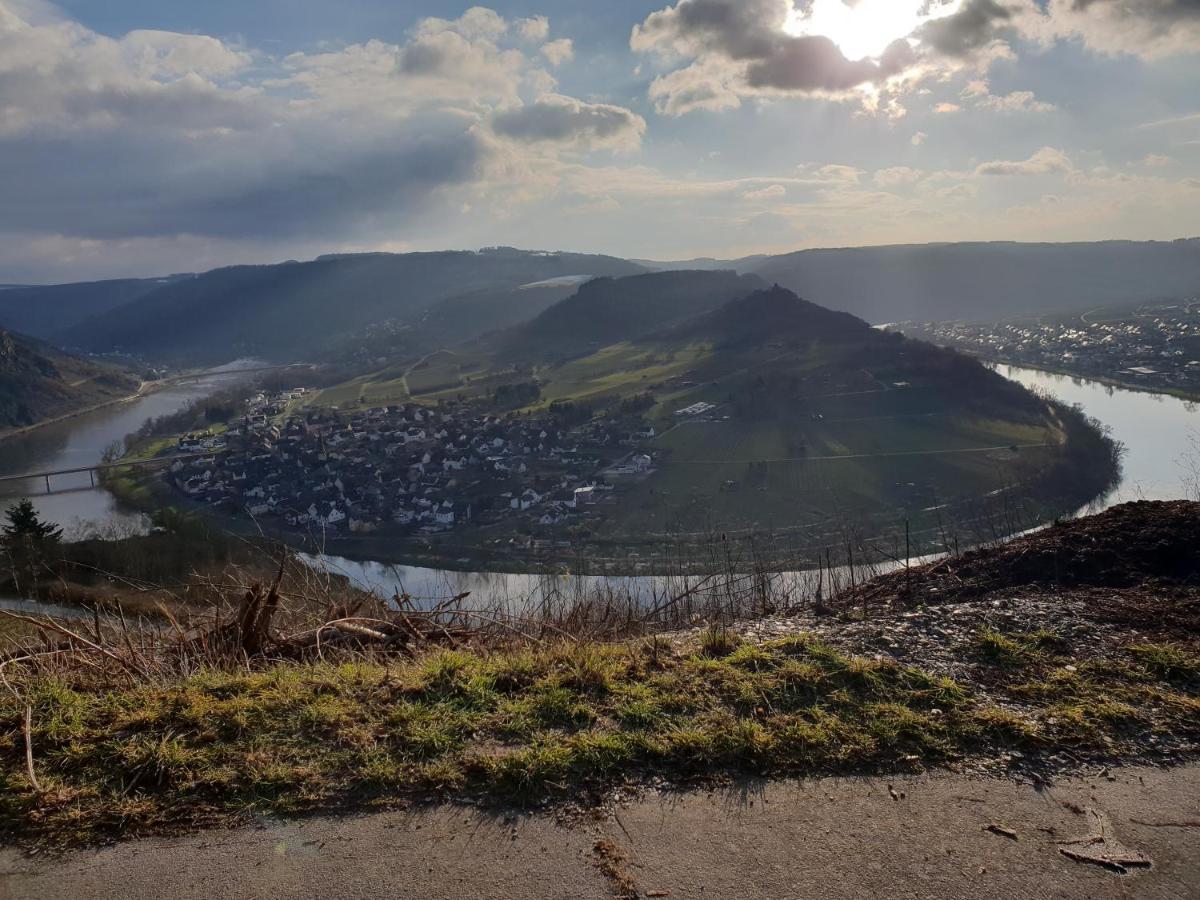Steuer