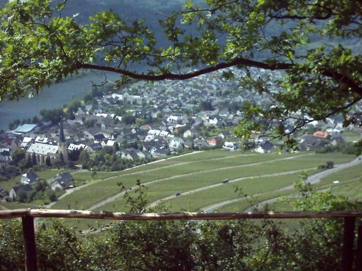 Steuer