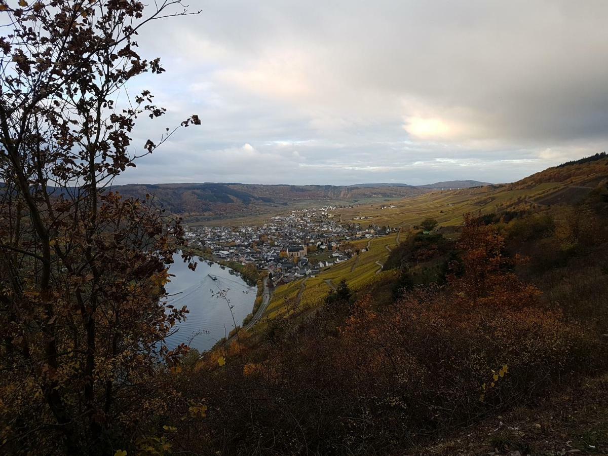 Steuer Kröv