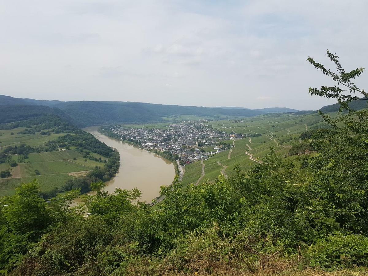Steuer *